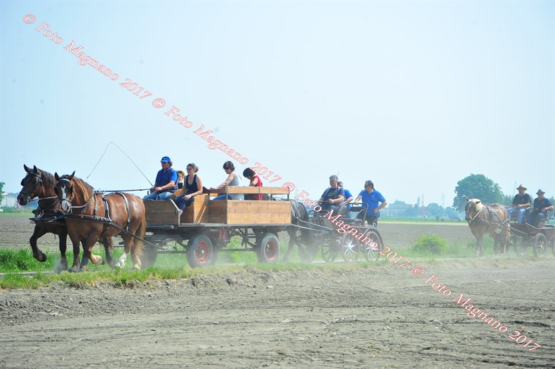 DSC_0815.JPG